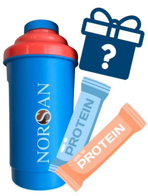 Set sportowy (shaker + 2 x saszetka odżywki białkowej + prezent)