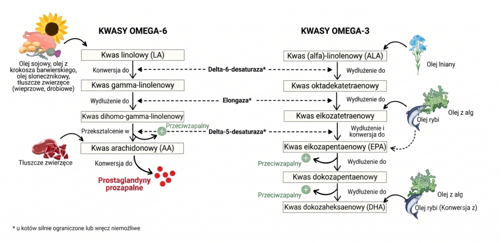 Równowaga Omega-3 i Omega-6 u psów i kotów - Wykres